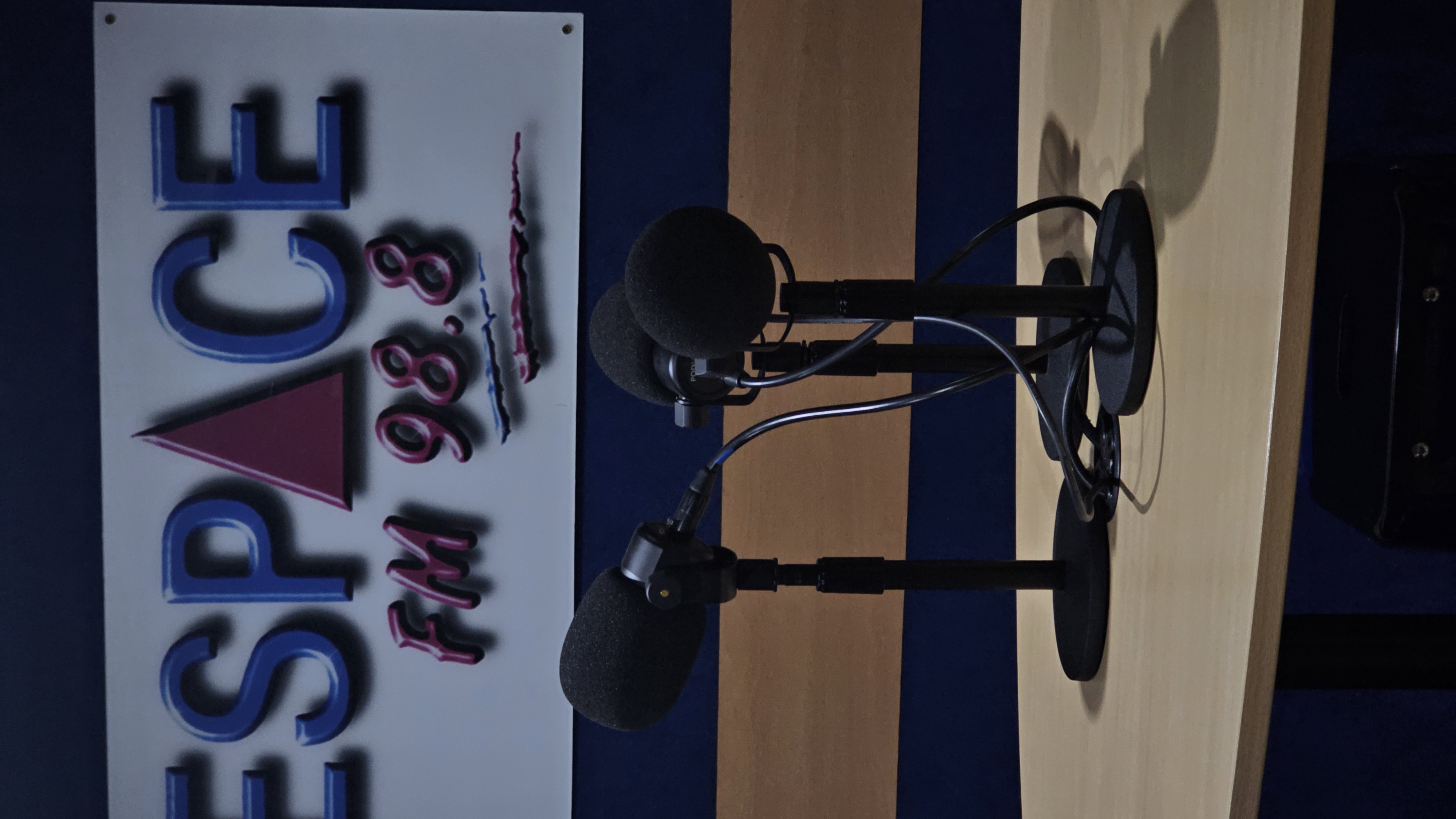 Chronique radio "Le kit de survi'mana" – La Partition (Espace FM) – image 1